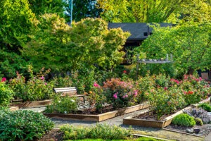 An outdoor flower garden with benches