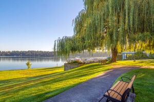 An outdoor trail next to a lake with benches